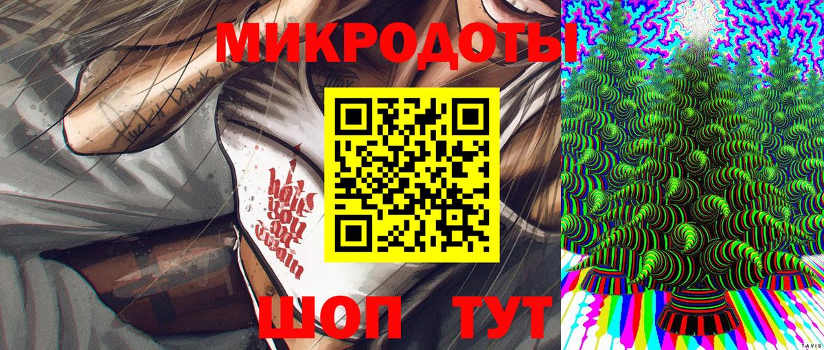 Псилоцибиновые грибы Psilocybe Славгород